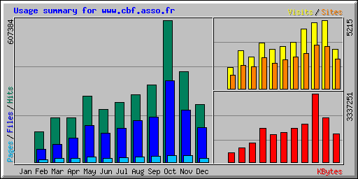 Usage summary for www.cbf.asso.fr