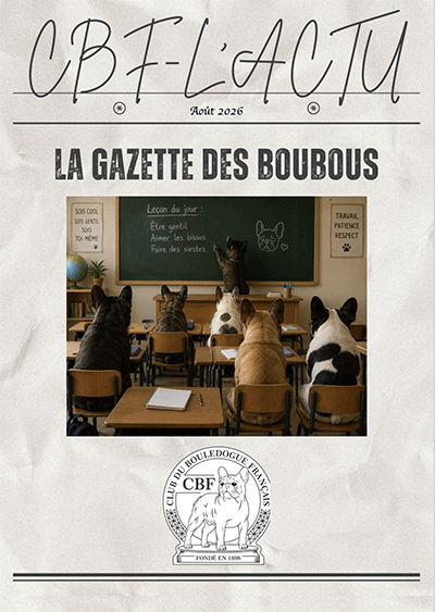 CBF L'Actu au format PDF