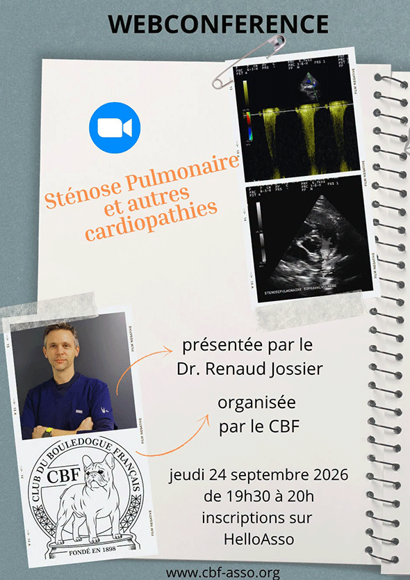 Les webconférences du CBF