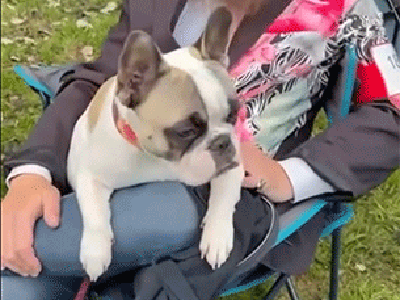 BREATH et TAN à Moncontour le 28/09/2025