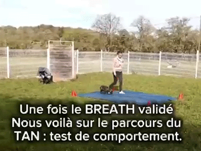 BREATH et TAN expliqué en vidéo